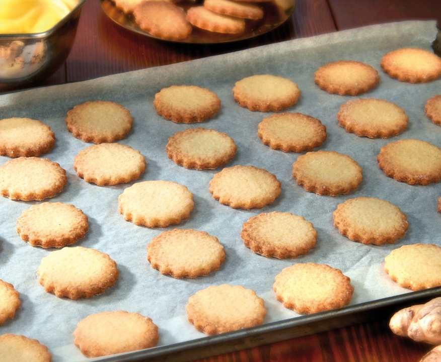 Biscotti allo zenzero Protein