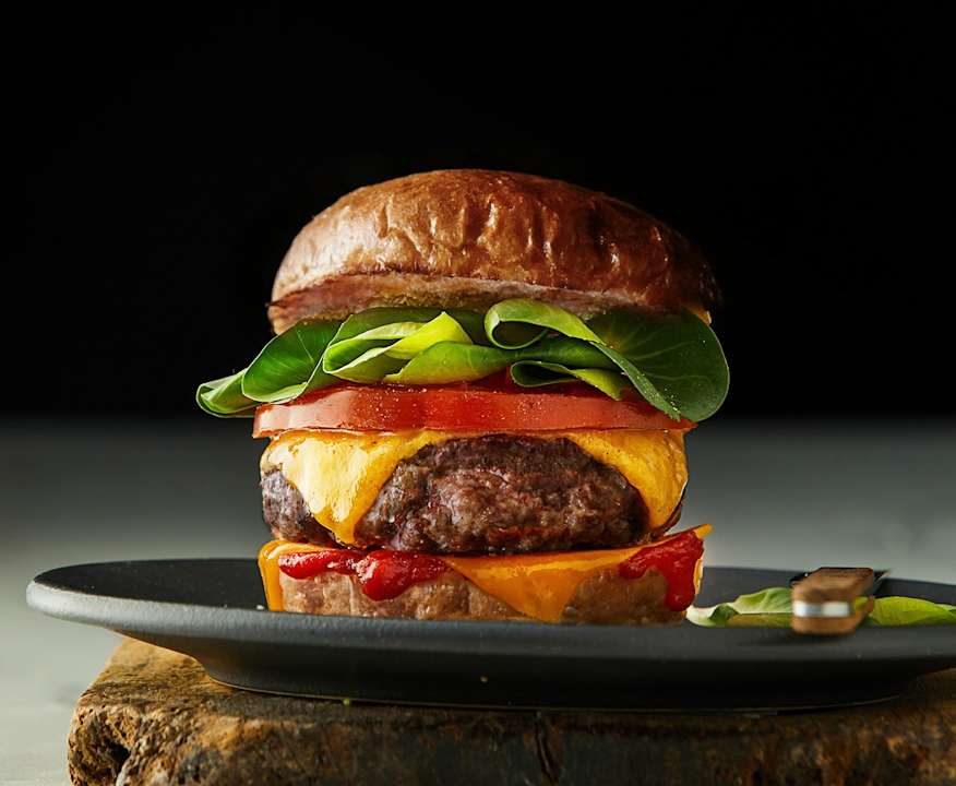 Cheeseburger (TM6) Protein