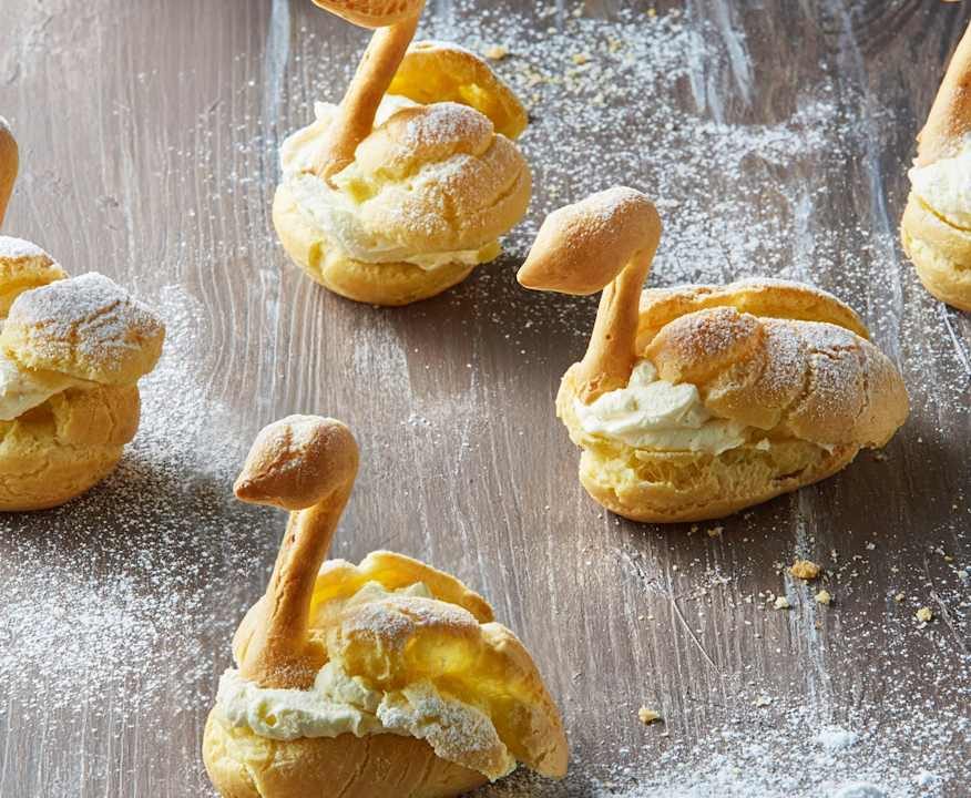 Cigni alla crema diplomatica Protein