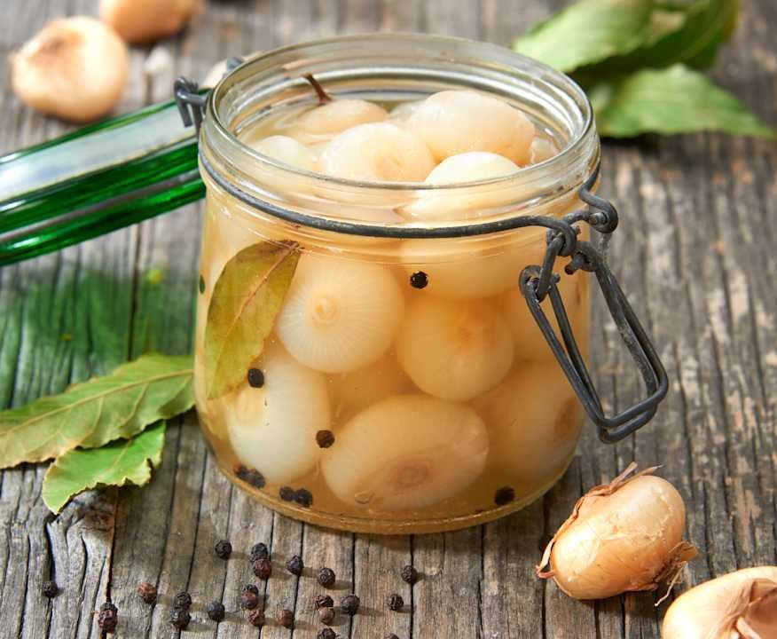 Cipolline sott'olio Protein