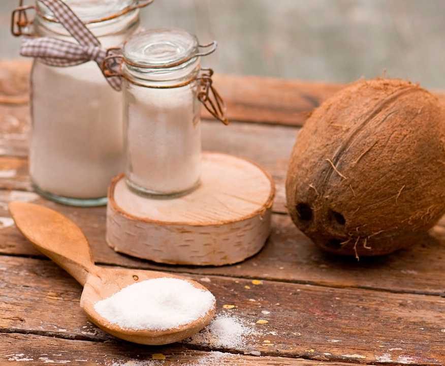 Farina di cocco Protein