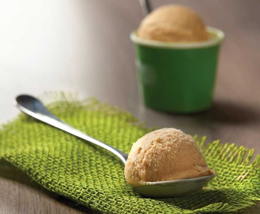 Gelato al caramello salato Protein