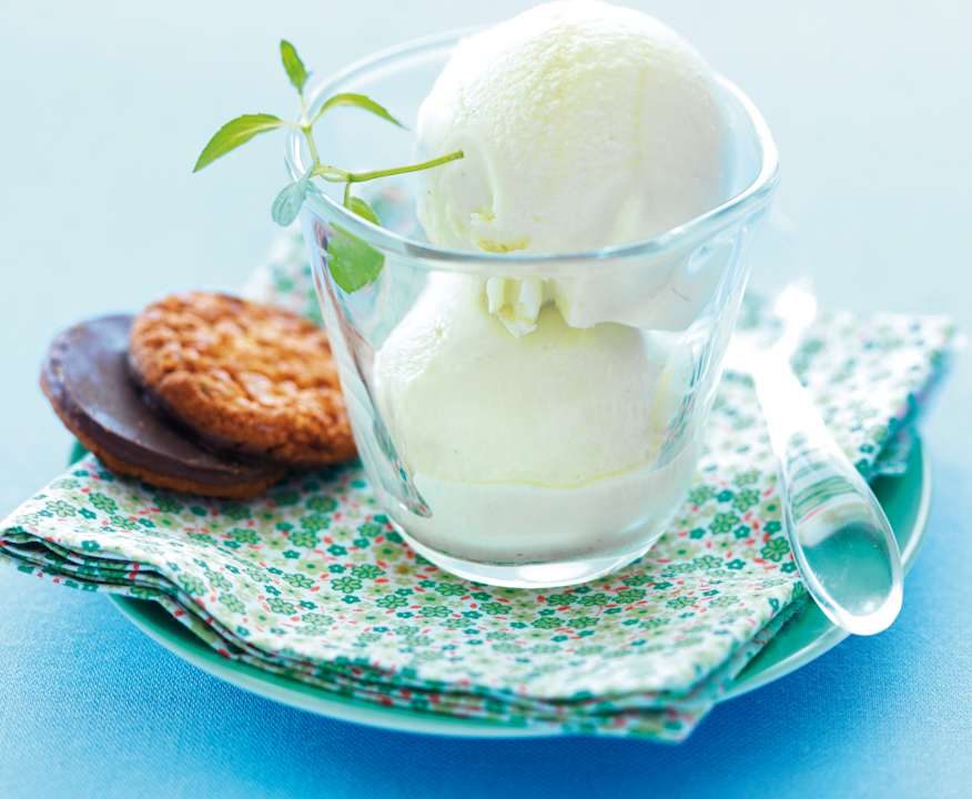 Gelato al gambo di finocchio Low Carb