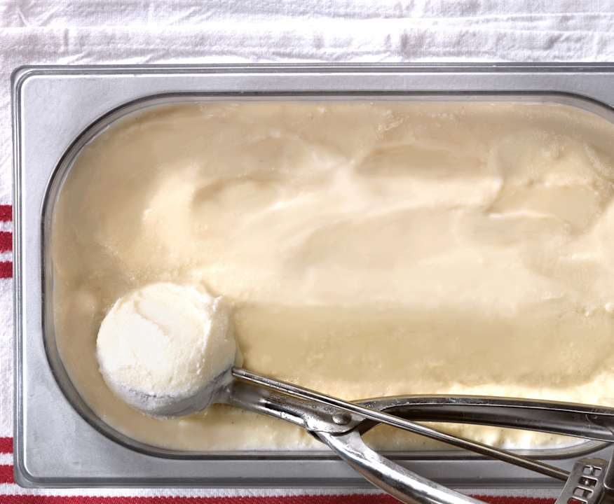 Gelato fiordilatte senza lattosio Protein