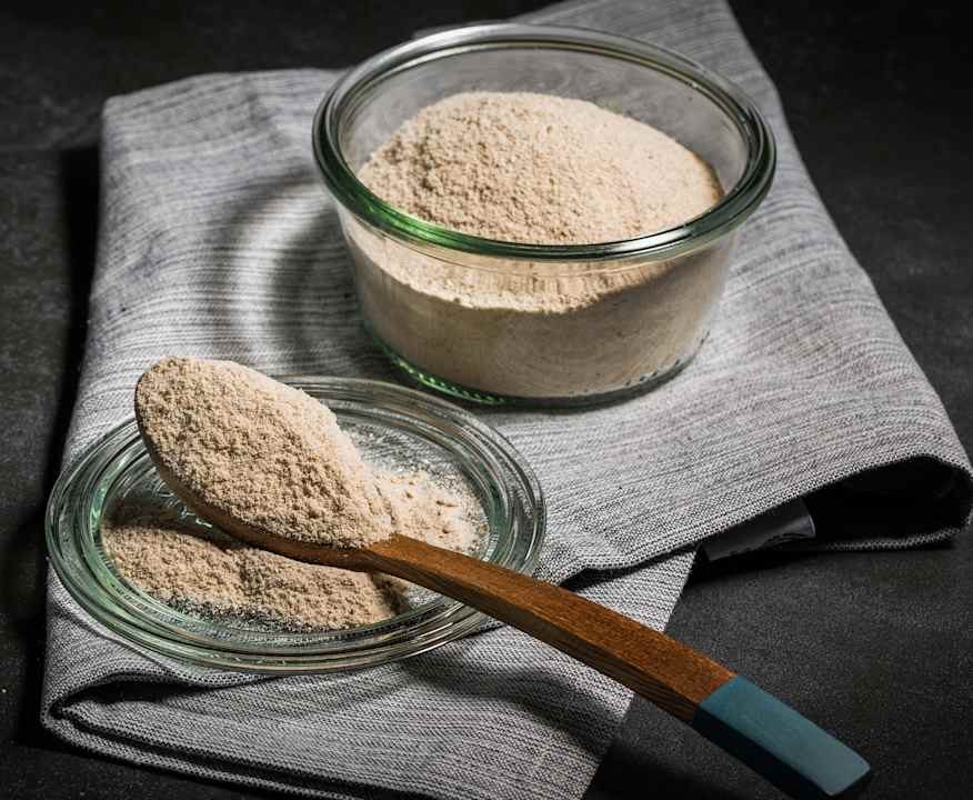 Lievito madre disidratato Protein