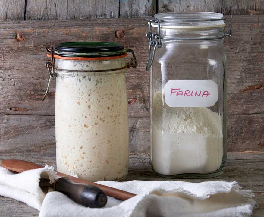 Lievito madre Protein