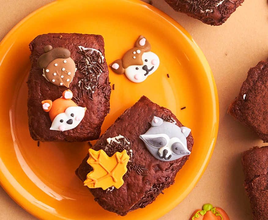 Mini plumcake al cioccolato Protein
