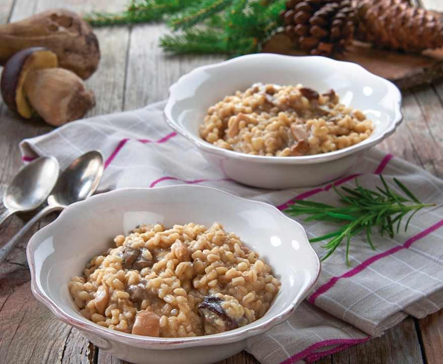Orzotto ai funghi porcini Protein