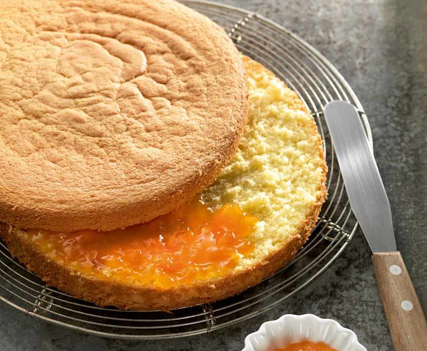Pan di Spagna Protein