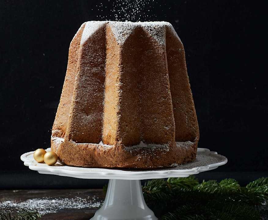 Pandoro Protein