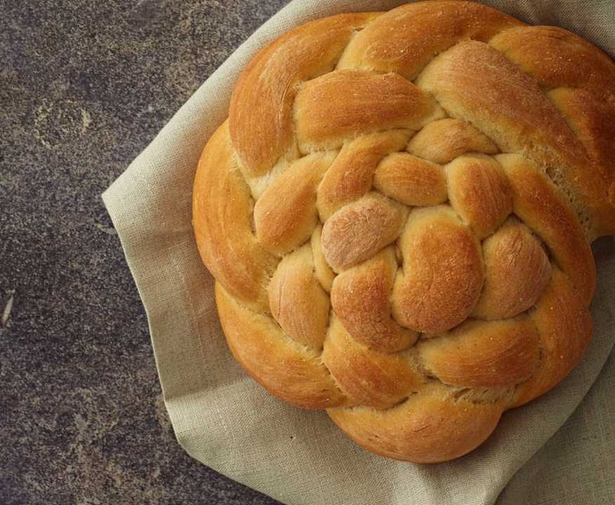 Pane alla birra (TM6) Protein