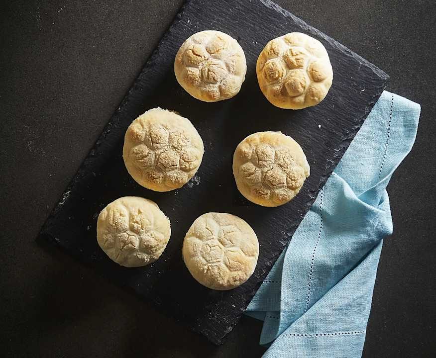 Pane tartaruga Protein