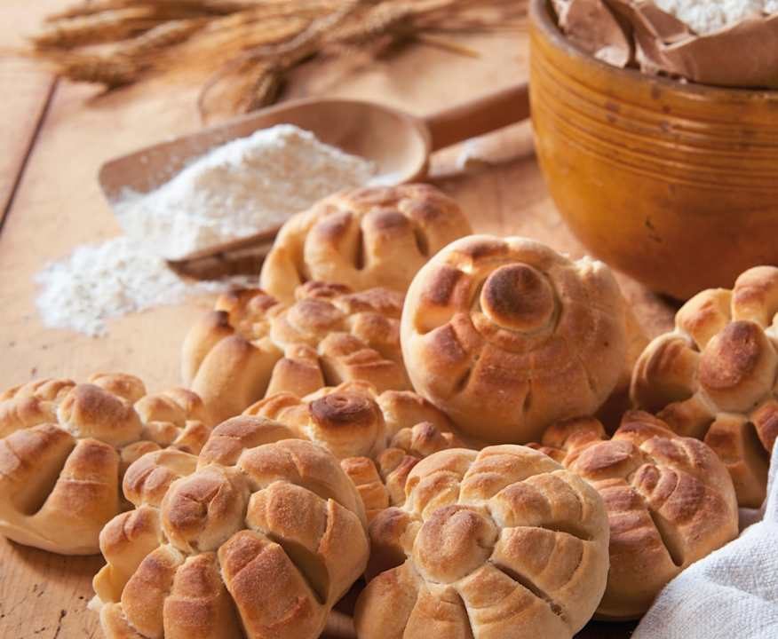 Panini rosette Protein