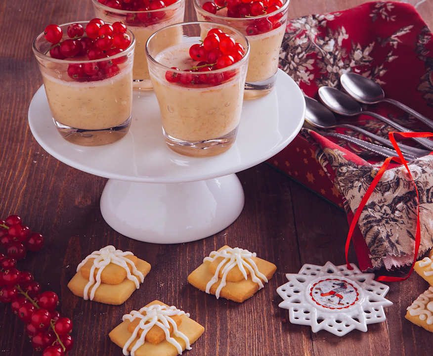 Panna cotta latte e cereali Protein