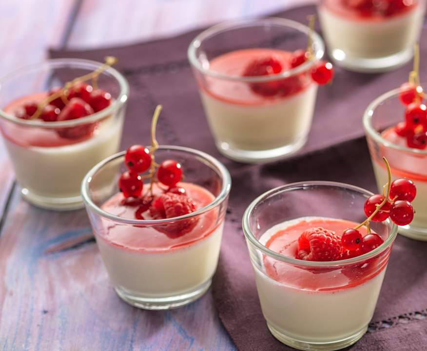 Panna cotta Protein