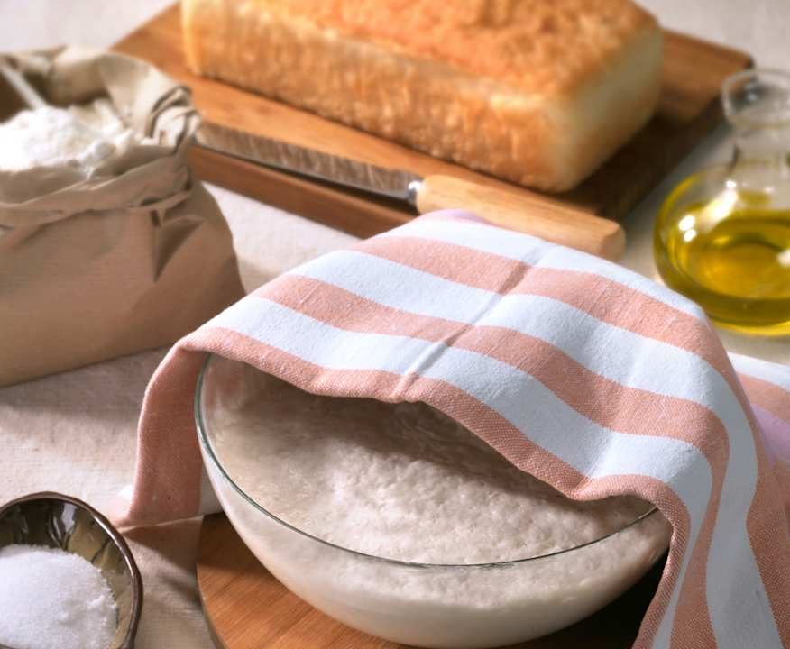 Pasta per pane veloce (senza glutine)