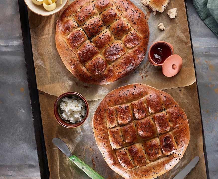 Pita rustica Protein
