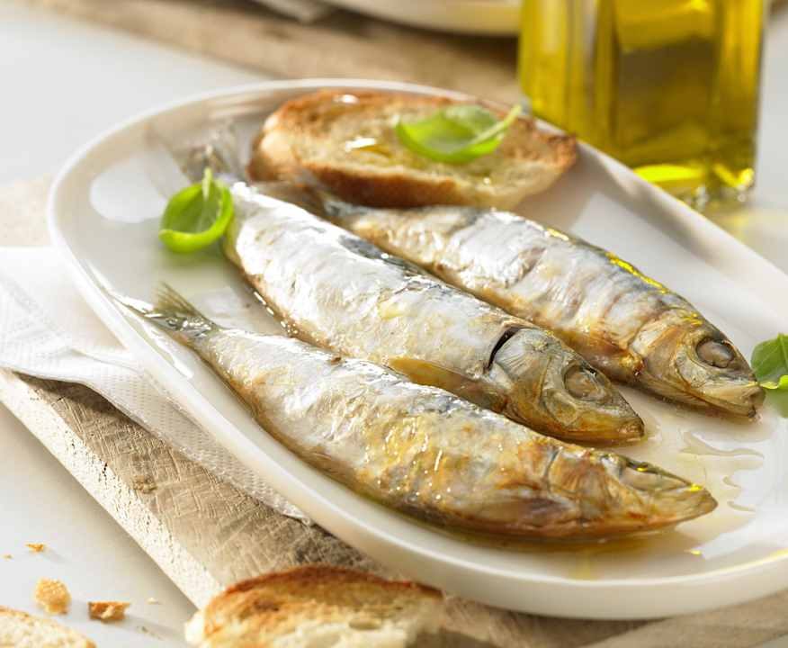 Sardine al cartoccio Protein