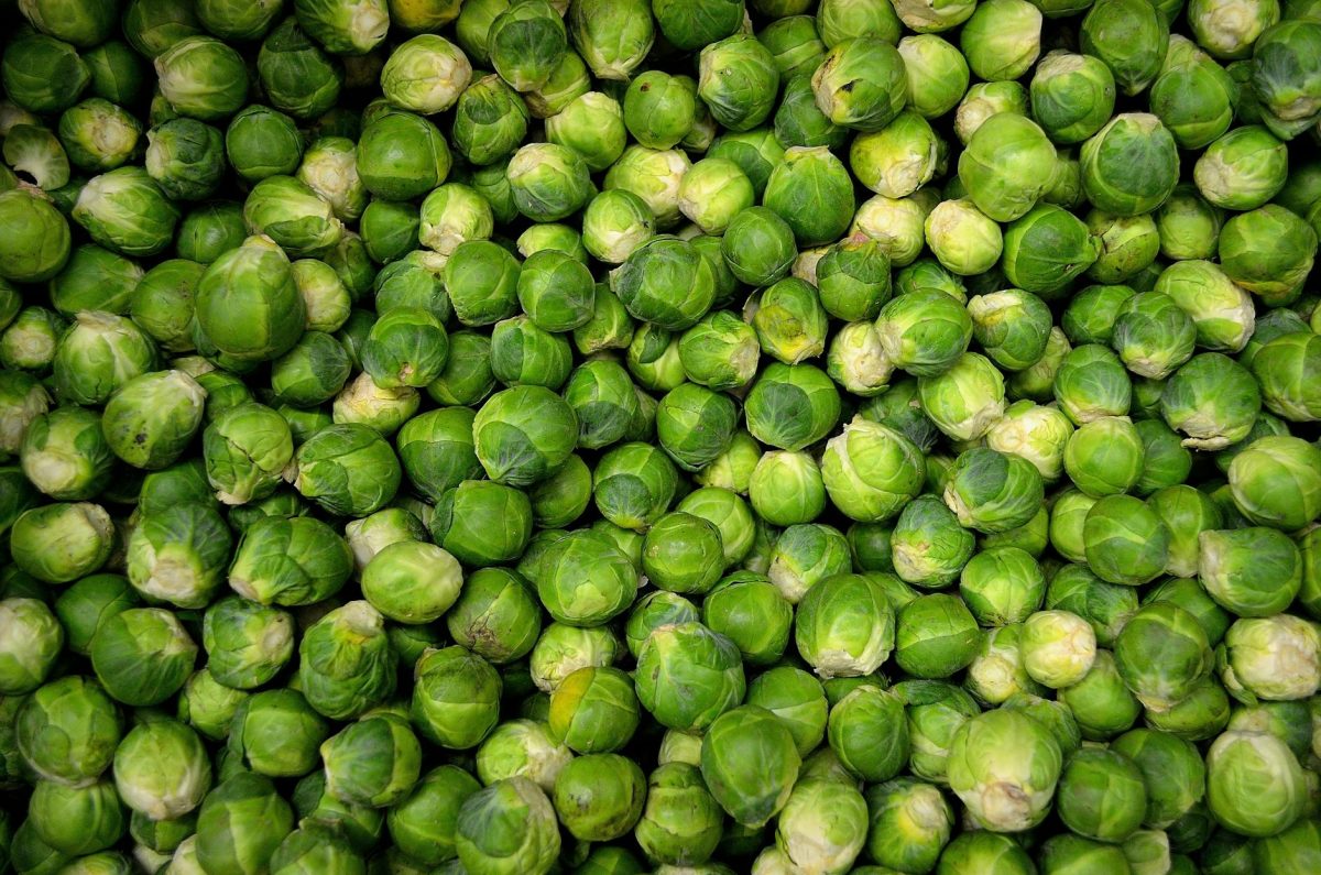 L'Insalata di Cavolini di Bruxelles Definitiva: Arrostiti e Crudi in Perfezione