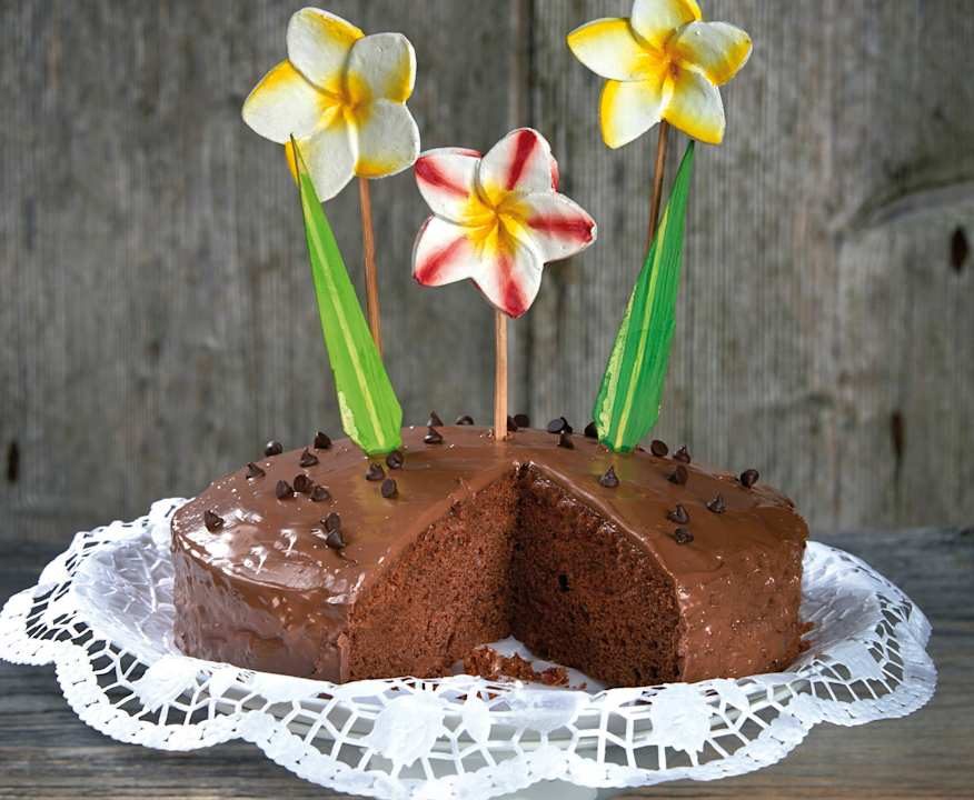 Torta chocolat Protein