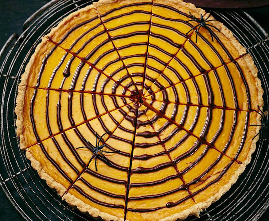 Torta ragnatela Protein