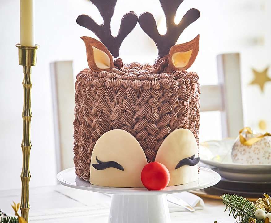 Torta renna al cioccolato Protein