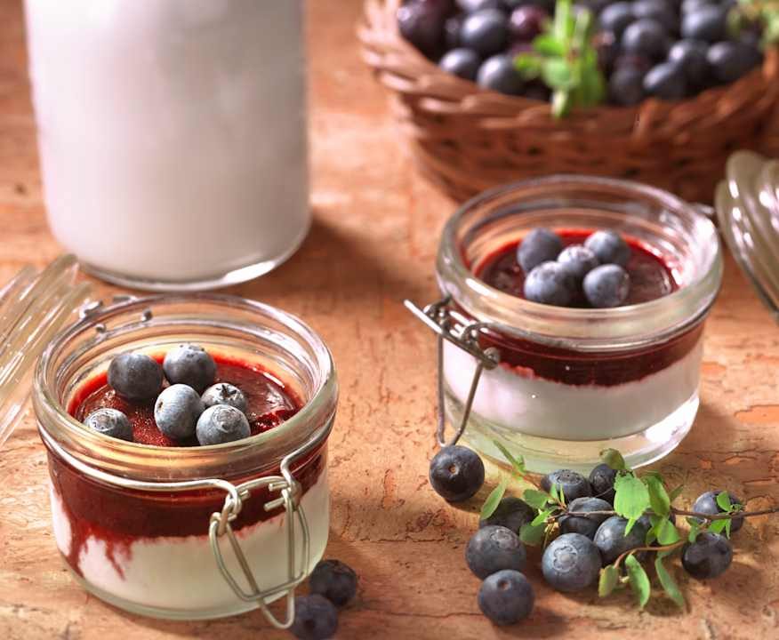 Vasetti di gelato alla panna cotta con mirtilli Low Fat