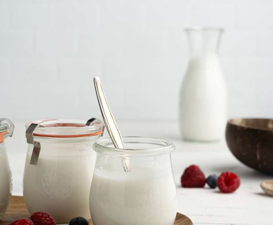 Yogurt al cocco (vegan) Protein