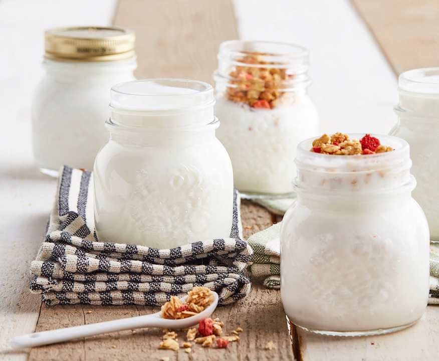 Yogurt naturale (con fermenti per yogurt) Low Carb