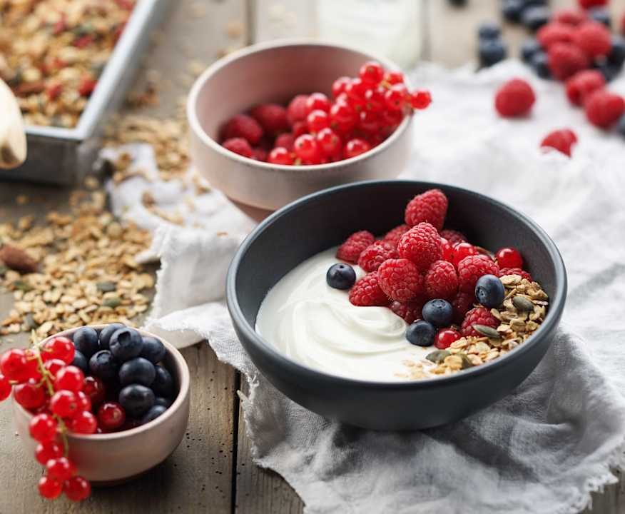 Yogurt Protein